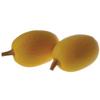  COURGE COMESTIBLE COURGE COMESTIBLE-PINNACLE F1 (Curcubita)- - PROSEM