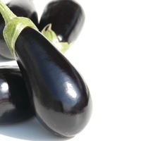 Graines potagères AUBERGINE SHAKIRA F1 (Solanum melongena) - PROSEM