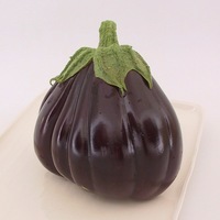  AUBERGINE AUBERGINE-Black Beauty (Solanum melongena)-Graines biologiques certifiées - PROSEM