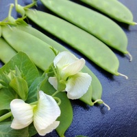 Graines potagères POIS mangetout et croquant SWEET HORIZON - PROSEM