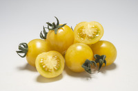 Graines potagères TOMATE CERISE SUNLEMON F1 - PROSEM