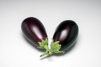 Graines potagères AUBERGINE BELLINI F1 (Solanum melongena) - PROSEM