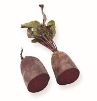  BETTERAVE BETTERAVE-CARILLON (Beta vulgaris)- - PROSEM