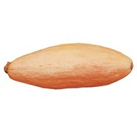  COURGE COMESTIBLE COURGE COMESTIBLE-PINK JUMBO BANANA-Graines non traitées - PROSEM