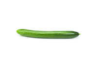  CONCOMBRE LONG HOLLANDAIS CONCOMBRE LONG HOLLANDAIS-DIAPASON F1 (Cucumis sativus)- - PROSEM