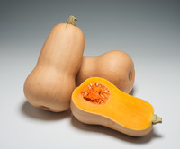  COURGE BUTTERNUT COURGE BUTTERNUT-TREVOR F1 (Cucurbita)-Graines non traitées - PROSEM