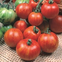 Graines potagères TOMATE ZEBREE TIGERELLA - PROSEM