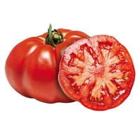  TOMATE CÔTELEE TOMATE CÔTELEE-MARMANDE SELECTION ADOUR (Solanum lycopersicum L.)- - PROSEM