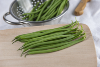 Graines potagères HARICOT NAIN RECOLTE MANUELLE GRILLON - PROSEM