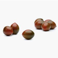 Graines potagères TOMATE CERISE TT-768 - PROSEM