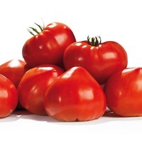 Graines potagères TOMATE ALLONGEE type Coeur GOURMANDIA F1 - PROSEM